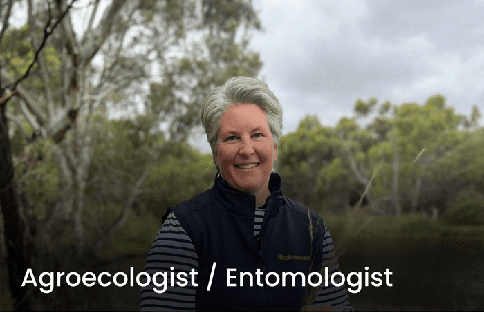 Mary - Careers in wine website snagit 1