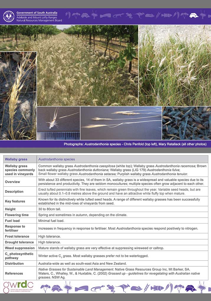 Mary Retallack Native Grass ID Cards