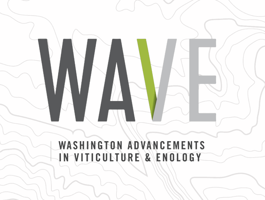 WAVE conference image