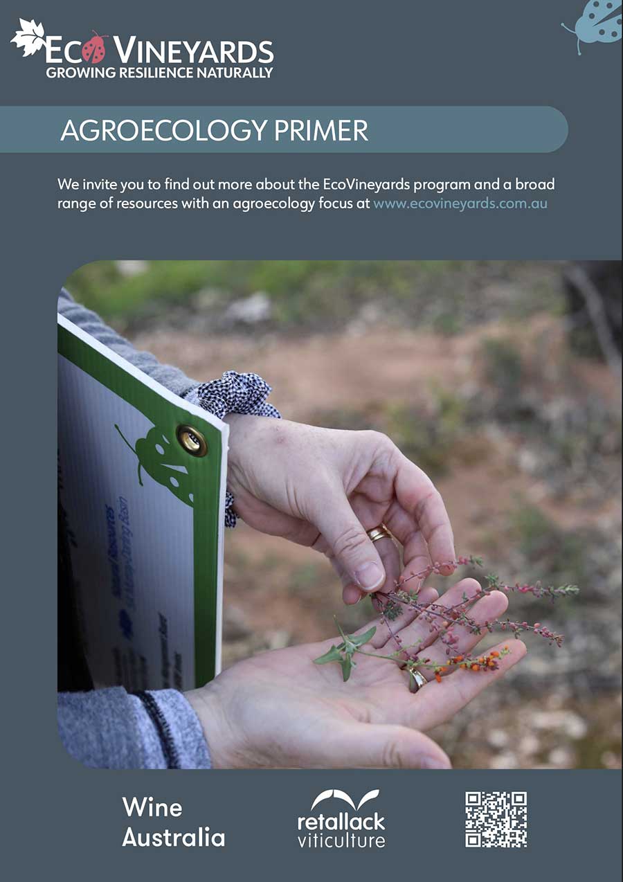 EcoVineyards Agroecology Primer booklet cover